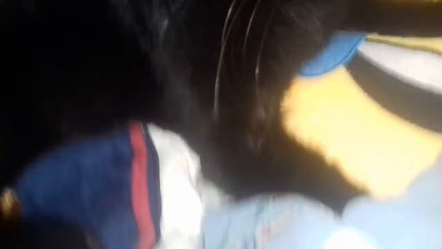 Тусиммм.Роза устала ушла..💖💖💖💖💖