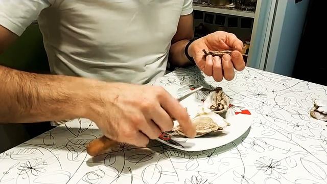 Unboxing устриц или как быстро и безопасно открыть и съесть устрицу. смотреть онлайн
