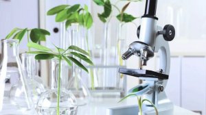 Биология 5 класс (Пасечник) аудио Параграф 6 «Увеличительные приборы»