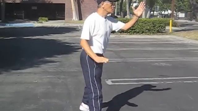 WU HAO Style Tai Chi смотреть онлайн