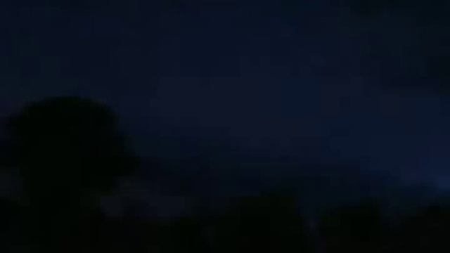 Дикие гиганты саванны смотреть онлайн