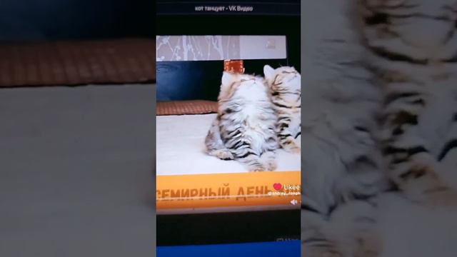 1000000480.mp4 смотреть онлайн