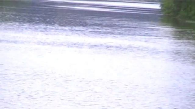 Сплав 2016, Десна, Пироговка-Погореловка (50 км) смотреть онлайн