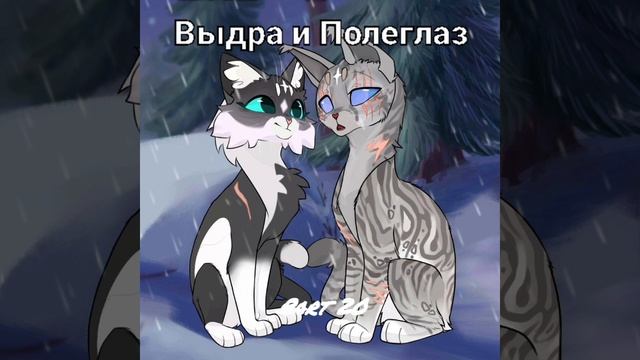 Map More 34 Parts.(Open)