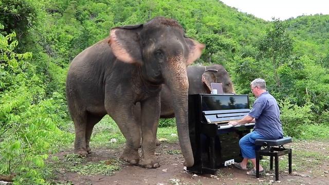 Mayumi Kato “Language of Flowers” for Elephants - Lidia Baich, violin, Paul Barton, piano смотреть онлайн