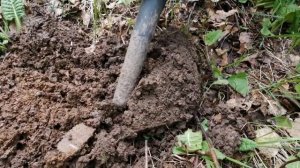 Деревня с монетами, коп с vanquish 540