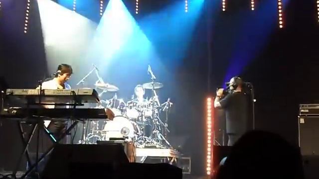 "Theme of Grandia" live by Iwadare Noriyuki @ Japan Expo 2010 смотреть онлайн