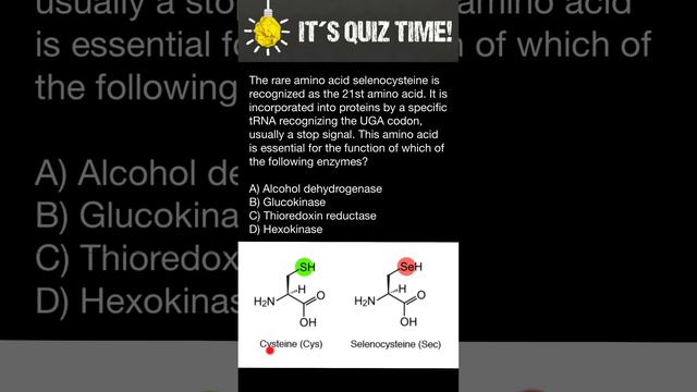 21st amino acid Selenocysteine смотреть онлайн