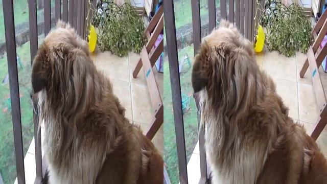 nakręcono Sony TD30VE смотреть онлайн