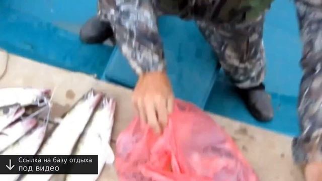 сколько стоит рыбалка в астрахани 2015 смотреть онлайн