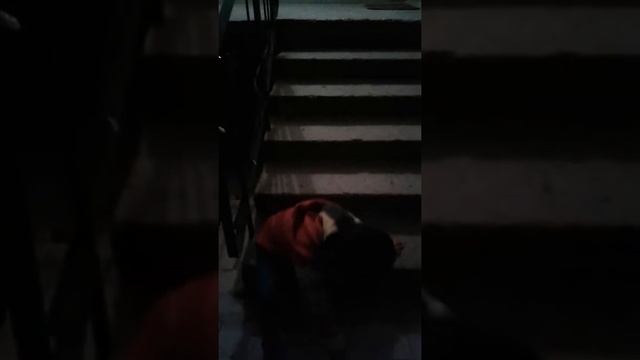 Ура !!!Первая самостоятельная лестница смотреть онлайн