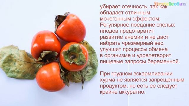 Хурма -  полезные свойства!