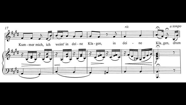 Ich liebe dich (E Major), Ludwig van Beethoven, Piano Accompaniment. смотреть онлайн