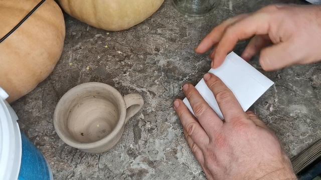 Пакетики для хранения семян своими руками. В чем и где хранить семена. смотреть онлайн