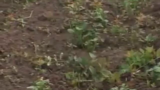 Инструменты фирмы Азия нпк смотреть онлайн