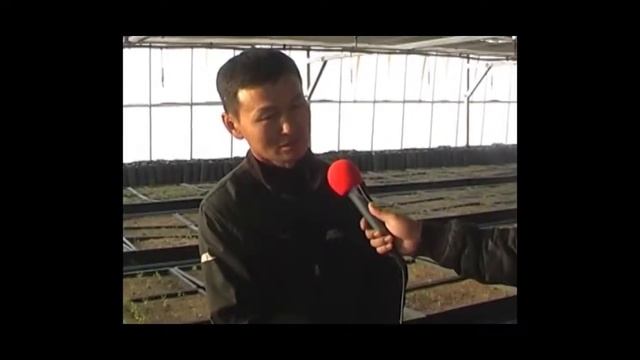 Тарьсан модоо хэн хамгийн сайн ургуулах вэ? смотреть онлайн