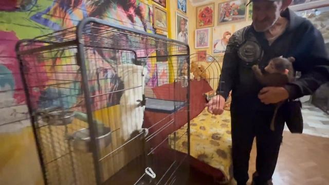 Степка сидя на полу увидел на столе СВОЮ ПЮРЕШЕЧКУ и рванул ее доставать))) смотреть онлайн