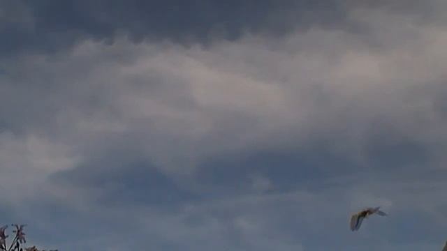 Samsung Smx F40 Time Lapse смотреть онлайн