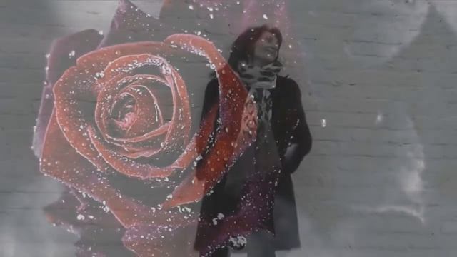 Романс "Две Розы". Исп. Наталья Мкртчян #романсы #дверозы смотреть онлайн