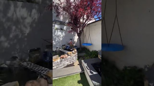 10 Beechpark Ave, Coolock, Dublin 5 смотреть онлайн