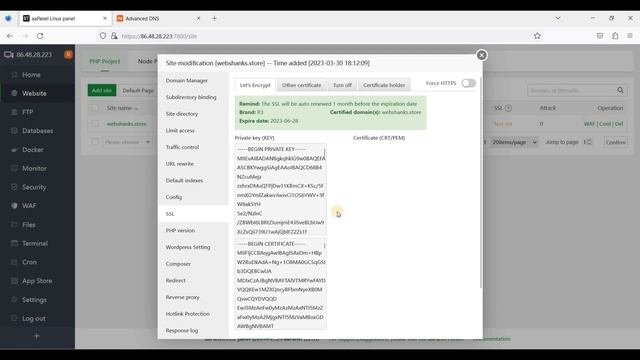 Create a WordPress Website in aaPanel Fast and Easy смотреть онлайн