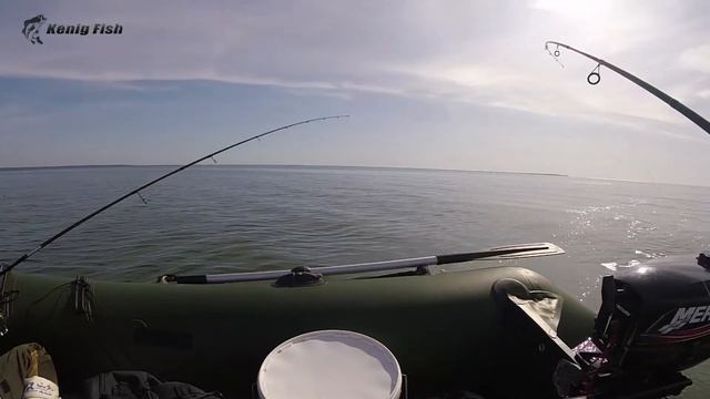 Судак на джиг и троллинг / Рыбалка в Калининградском заливе смотреть онлайн