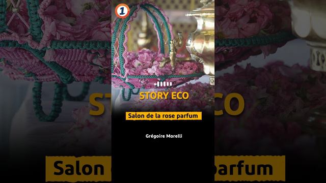 Salon de la rose parfum смотреть онлайн