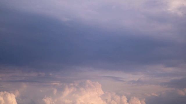 0P6A5096 смотреть онлайн