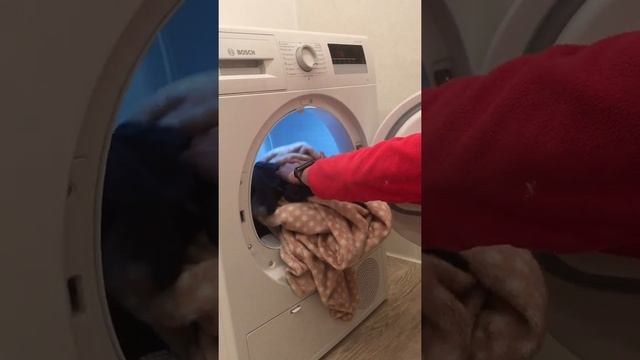 Сушильная машина Bosch 83201OE смотреть онлайн