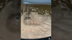 Яблочная пастила на агар агаре | Подпишись | Yuliya Skorb