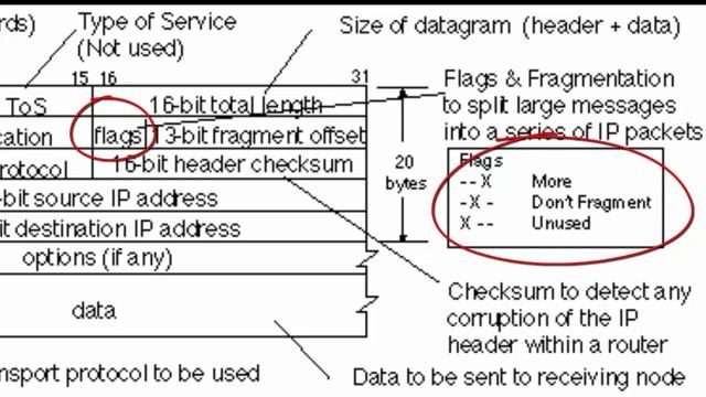 ipv4 header in TCP/IP LAYER 6 смотреть онлайн