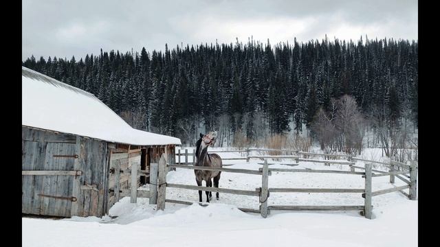 И  Суриков  Зима  Отрывок  #стихиозиме #поэты19века