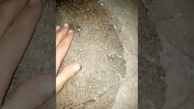 Покрытия бетона жидким пластиком смотреть онлайн