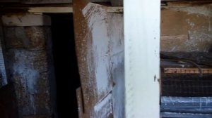 Побелили и победили куриного клопа в курятнике./ Гашоная известь это работает/