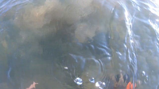 " Baia Domizia " смотреть онлайн