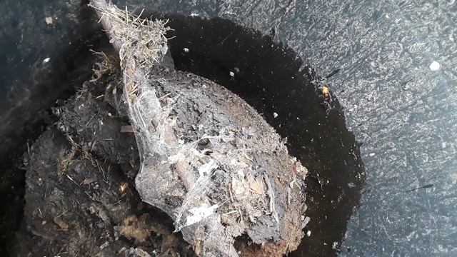 Composter A 1000 Home Model смотреть онлайн