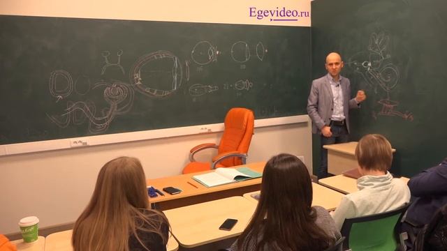 30. Две причины потери баллов на ЕГЭ в теме "орган слуха" смотреть онлайн