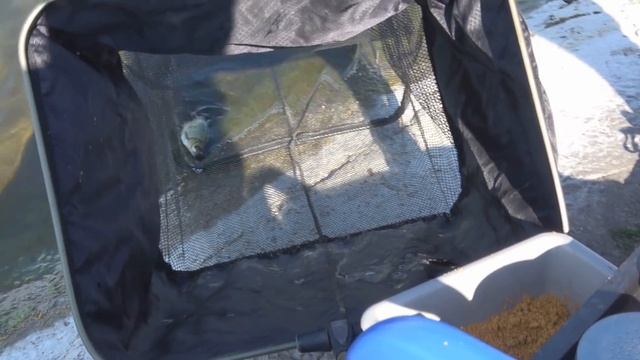 БАТЯ ПОЗВАЛ на РЫБАЛКУ и ПОНЕСЛАСЬ!!! ВЗЯЛ ПОПЛАВОК и НАЛОВИЛ смотреть онлайн