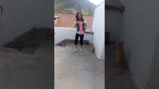 В чём сила брат?! смотреть онлайн