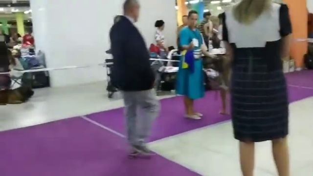 Южноафриканский бурбуль. Монопородная выставка 18.08.2019 г. Москва. смотреть онлайн