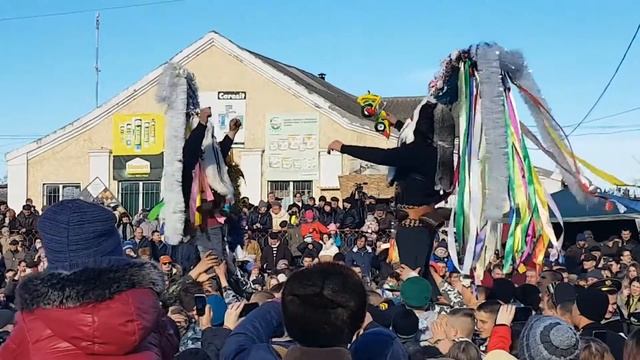 Мошу ла Орловка (Картал) 8 смотреть онлайн