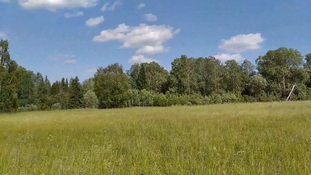 Деревенские пейзажи. Шум листвы. Природа. смотреть онлайн
