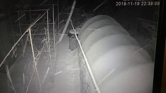 IP КАМЕРА,НОЧНОЙ РЕЖИМ,СНЕГ-ПОМЕХА!!!(видеонаблюдение) смотреть онлайн