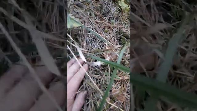 Песочники в октябре смотреть онлайн