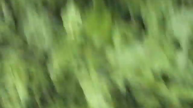 Школа 1 Сентября 2006 года смотреть онлайн