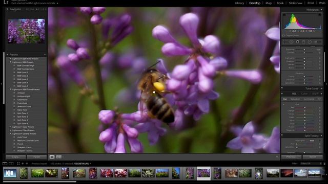 Обзор 7Artisans 35/1.2 для Sony E APS-C смотреть онлайн