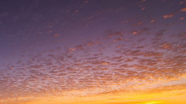 Be Fully Present In The Moment | 5 Minute Guided Meditation Series #3 смотреть онлайн