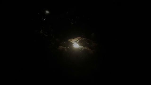 Vivaldi Synth Concerto "la Notte" in Si bemolle maggiore, RV501: 3. Andante molto, "il Sonno" смотреть онлайн