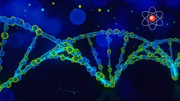 Мощная Матрица Гаряева?Жить долго до 1000 лет!?Powerful Matrix of Garyaev?Live long up to 1000 year