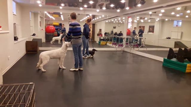 Дрого 1 смотреть онлайн
